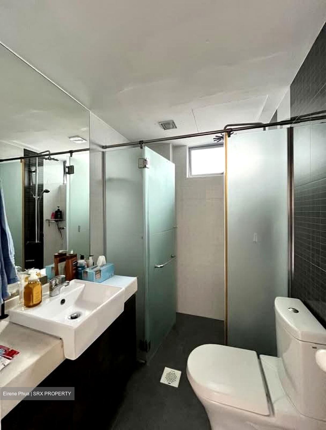 Emerald Park (D3), Condominium #586749811